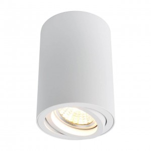 Потолочный светильник Arte Lamp A1560PL-1WH