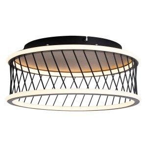 Потолочный светильник Favourite 4436-2C