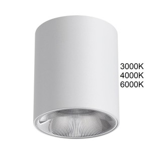 Потолочный светильник Odeon Light HIGHTECH 7139/12CL