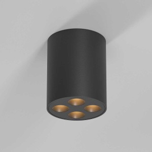 Потолочный светильник Elektrostandard 25111/LED a067484 Потолочный светильник Elektrostandard 25111/LED a067484