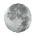 Настенно-потолочный светильник Sonex MOON 3084/CLN