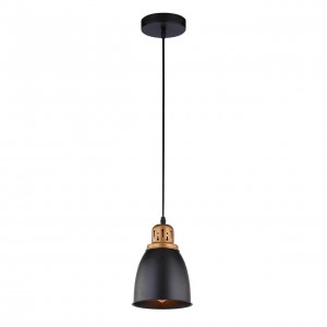 Подвесной светильник Arte Lamp Eurica A4248SP-1BK