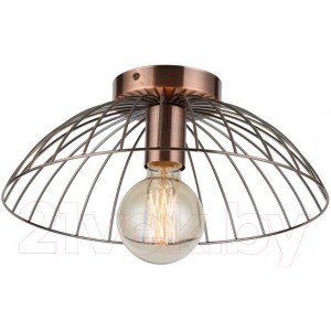 Потолочный светильник Lussole Loft Brooks GRLSP-8249