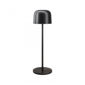 Уличный переносной аккумуляторный светильник Outdoor O528TL-L2BCCT