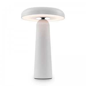 Аккумуляторный светильник Freya FR6109TL-L4W