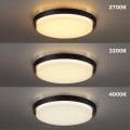Уличный потолочный светильник Novotech Virtuo Street 359721