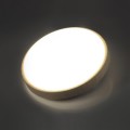 Настенно-потолочный светильник Sonex Pale Losta 7792/ALN
